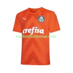 Maillot/Tenue Palmeiras Gardien Troisieme 2022/2023